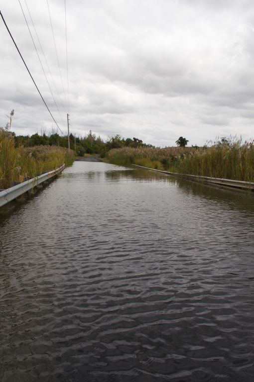 Old Corbitt Road Flooding